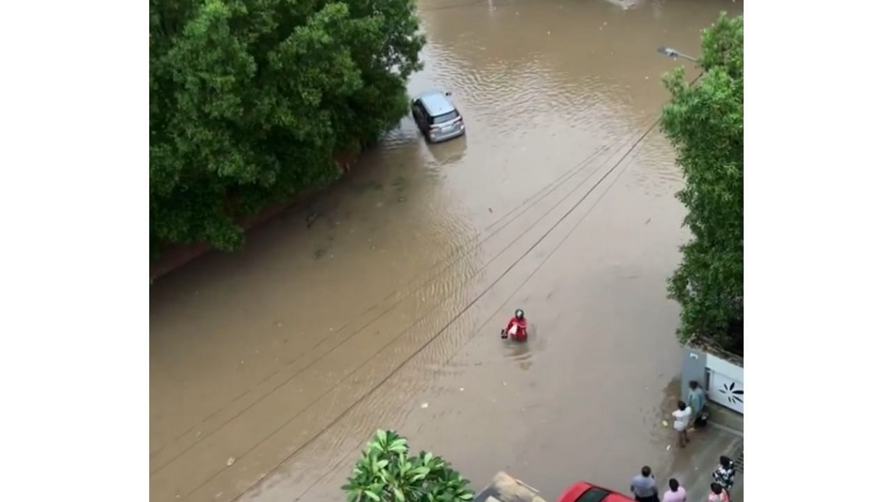 <div class="paragraphs"><p>A screengrab from the video showing Zomato delivery guy wading through water.</p></div>